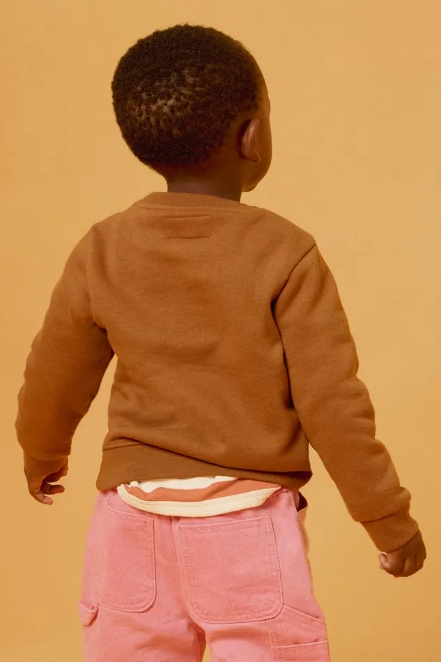Men Bonobos Crew and VNeck Sweaters Geoffrey Kids Supersoft Crew Teddy Brown Men Bonobos Crew and VNeck Sweaters Geoffrey Kids Supersoft Crew Teddy Brown